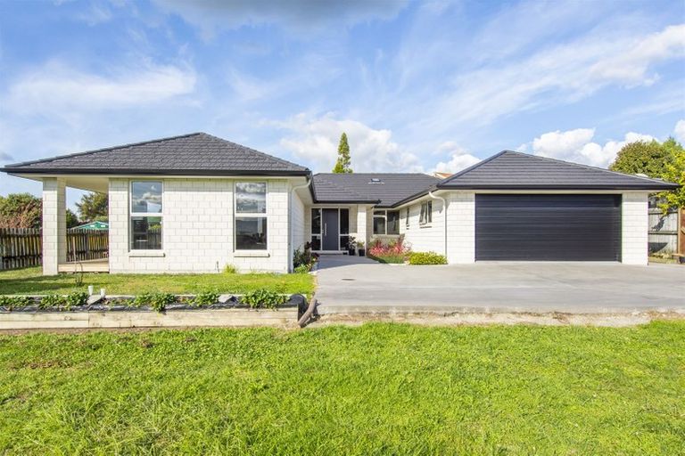 Photo of property in 168 Boucher Avenue, Te Puke, 3119