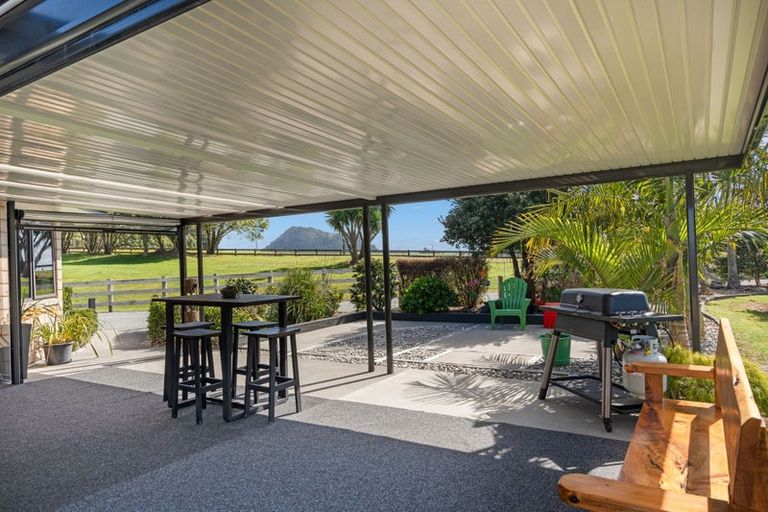 Photo of property in 361 Apotu Road, Kauri, Kamo, 0185