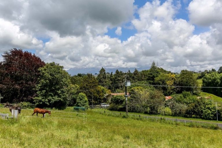 Photo of property in 43 Saxton Road, Upper Vogeltown, New Plymouth, 4371