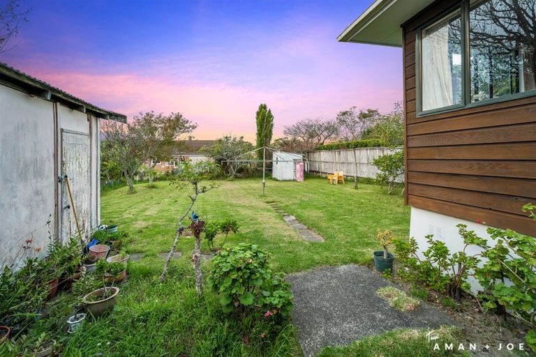 Photo of property in 51 Moa Road, Point Chevalier, Auckland, 1022