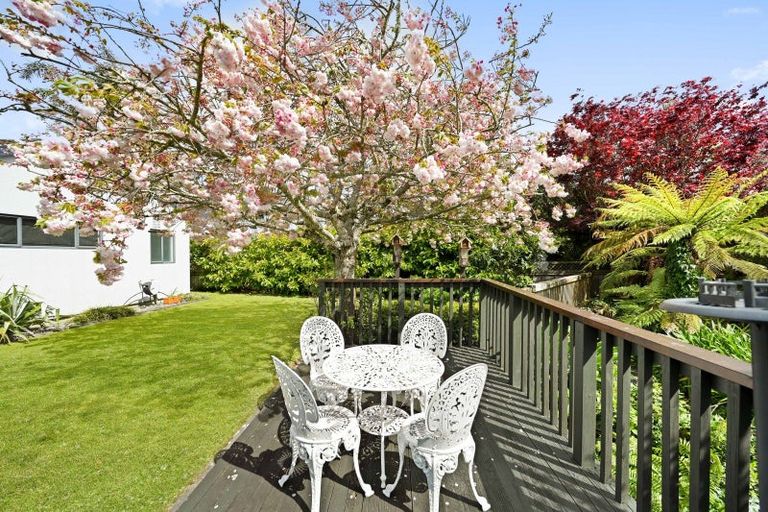 Photo of property in 19 Montrose Crescent, Huntington, Hamilton, 3210