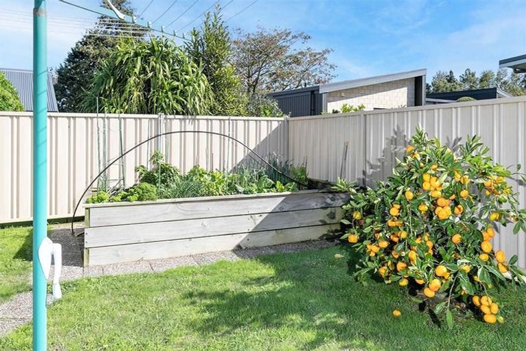 Photo of property in 57 Ritchie Street, Te Aroha, 3320