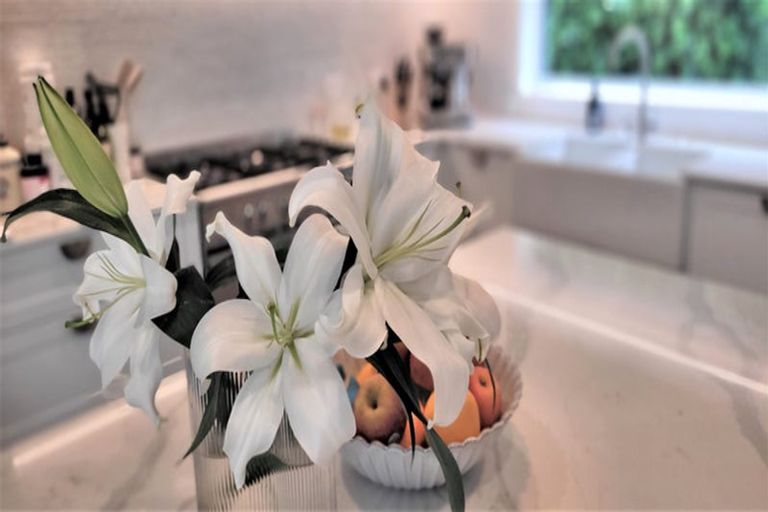 Photo of property in 147 Edgecumbe Road, Tauranga South, Tauranga, 3112