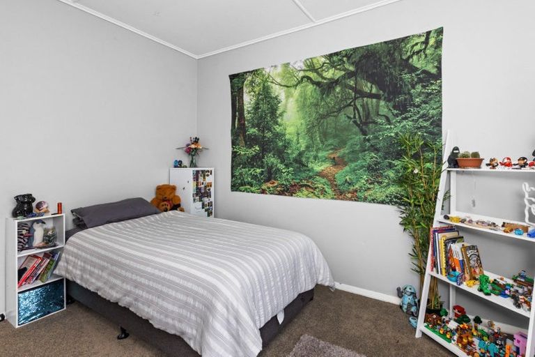 Photo of property in 900 Duke Street, Mahora, Hastings, 4120