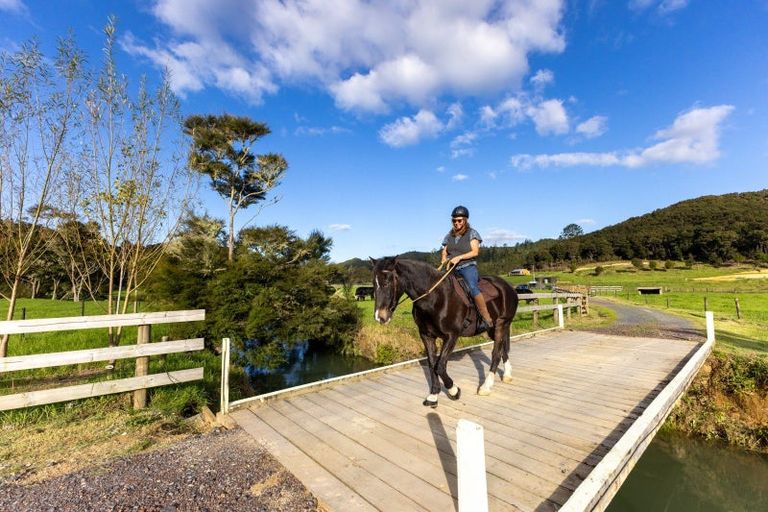 Photo of property in 719 Waikare Road, Karetu, Kawakawa, 0283