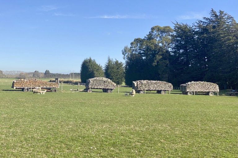 Photo of property in 750a Winton Lorneville Highway, Lochiel, Winton, 9781