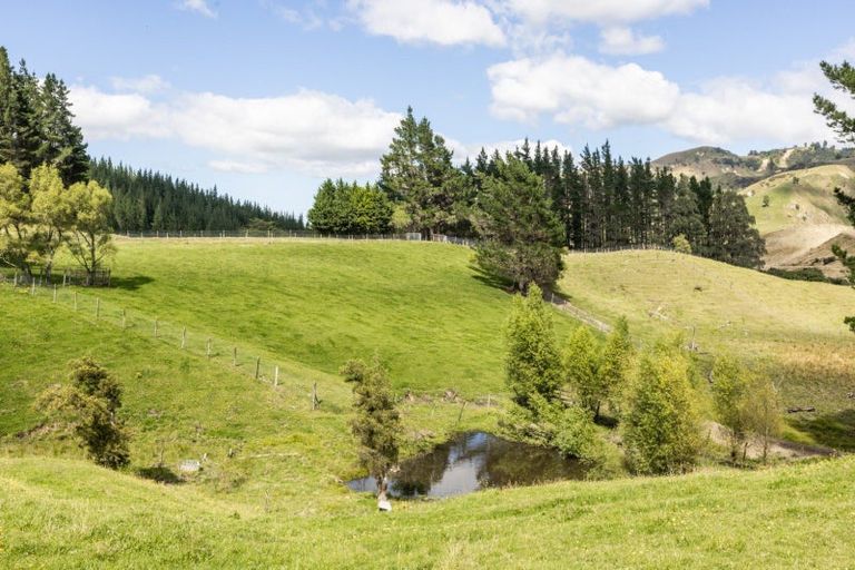 Photo of property in 3140 Taupo Road, Te Pohue, Napier, 4182