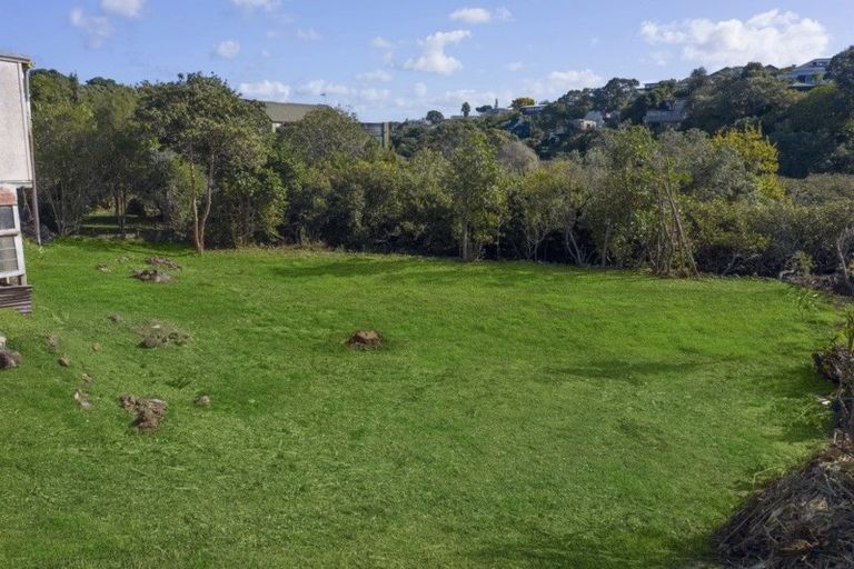 Photo of property in 19 Omana Road, Milford, Auckland, 0620