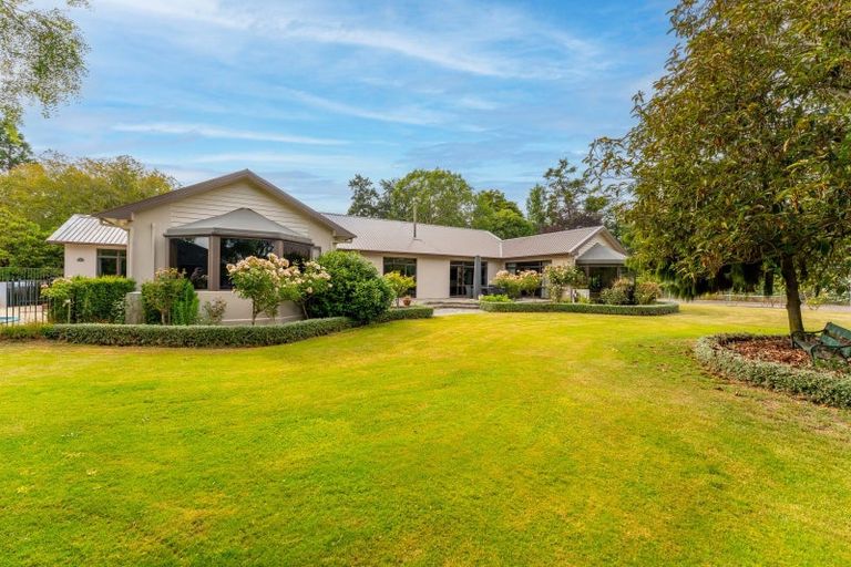 Photo of property in 768 Seadown Road, Seadown, Timaru, 7973