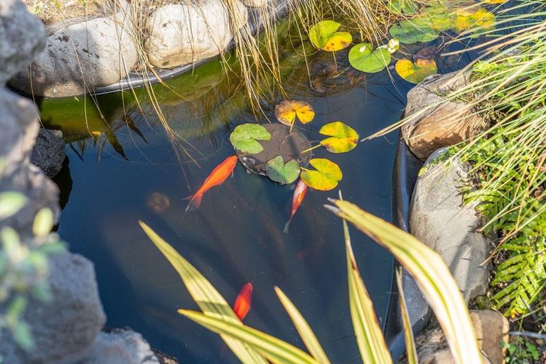 Photo of property in 308 Fabians Road, Morison Bush, Greytown, 5794