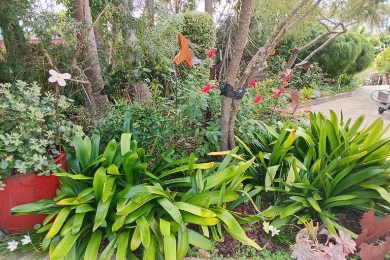 Photo of property in 6 Kaiwaka-mangawhai Road, Mangawhai, Kaiwaka, 0573