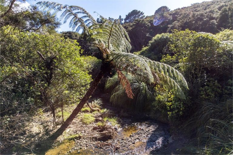 Photo of property in 1469 Pack Spur Road, Mataikona, Masterton, 5889