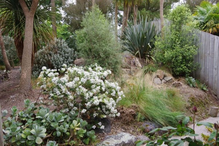 Photo of property in 6 Astelia Way, Waipahihi, Taupo, 3330