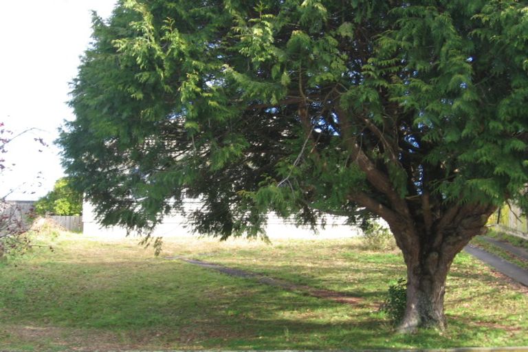 Photo of property in 15 Plunket Terrace, Hamilton East, Hamilton, 3216