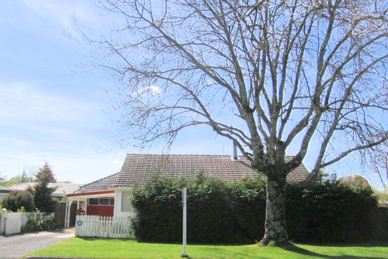 Photo of property in 22 Larch Street, Victoria, Rotorua, 3010