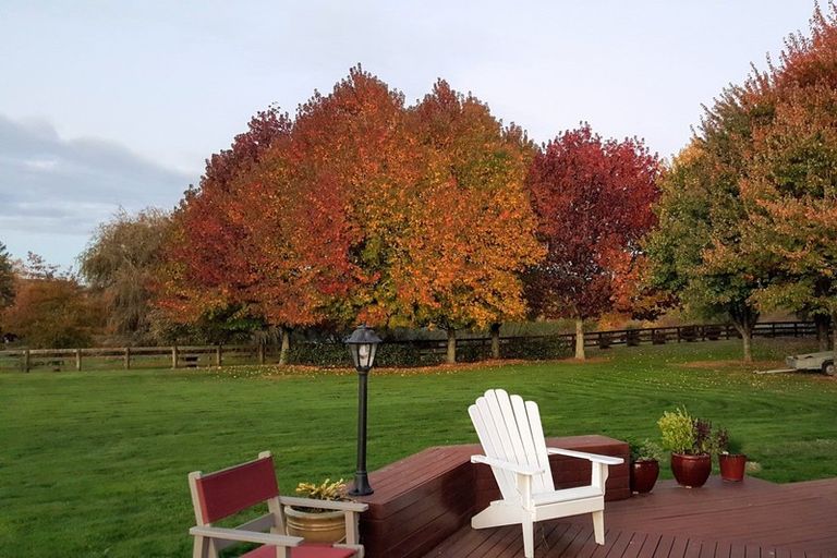 Photo of property in 628 Maungatautari Road, Maungatautari, Cambridge, 3494