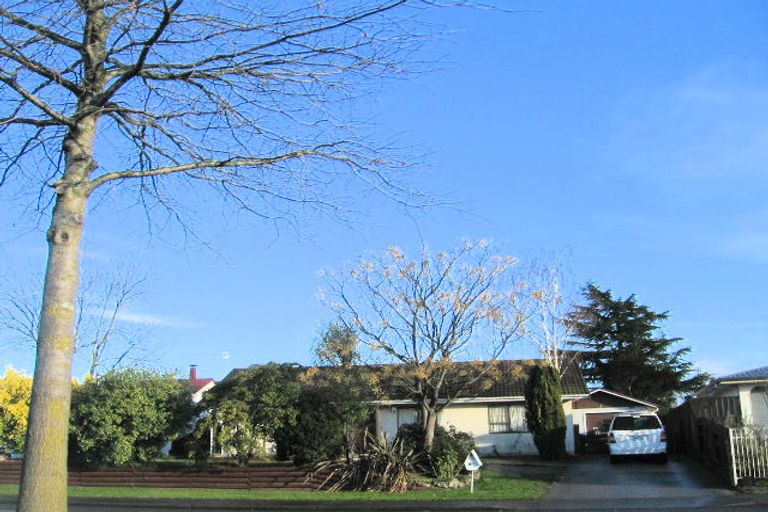 Photo of property in 209 Flaxmere Avenue, Flaxmere, Hastings, 4120