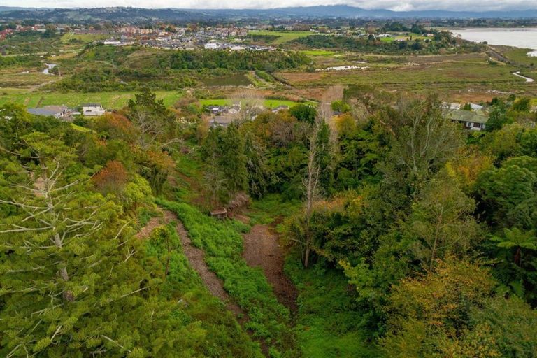 Photo of property in 264 Bellevue Road, Bellevue, Tauranga, 3110