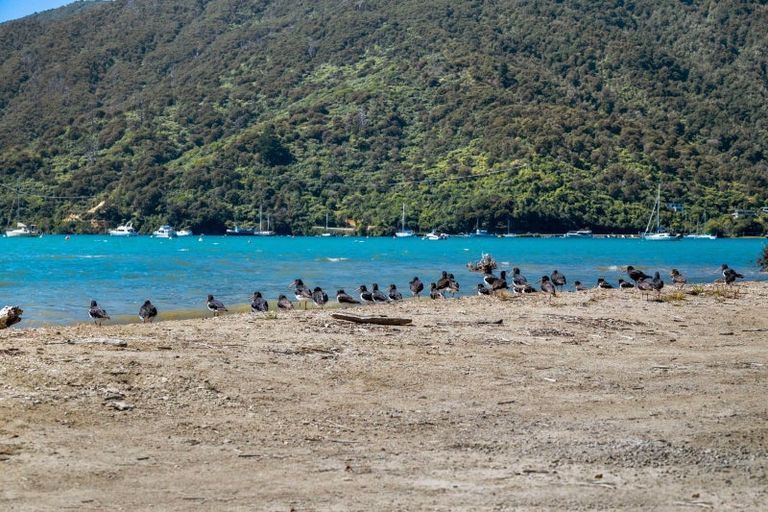 Photo of property in 12 Tirimoana Terrace, Anakiwa, Picton, 7281
