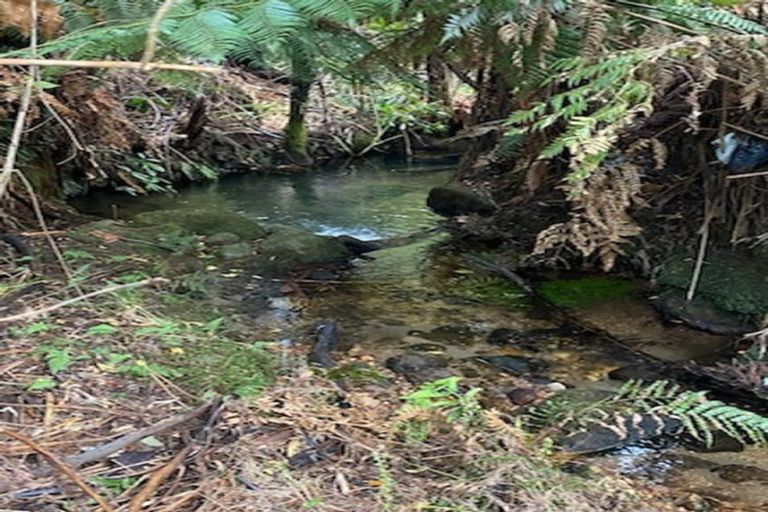 Photo of property in 287 Rowe Road, Ohauiti, Tauranga, 3173