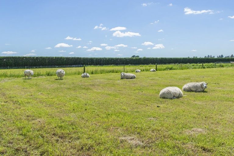 Photo of property in 155 Bellam Road, Rolleston, Christchurch, 7678