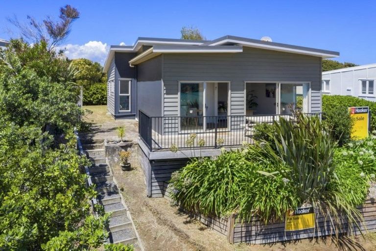 Photo of property in 17 Rose Street, Raglan, 3225