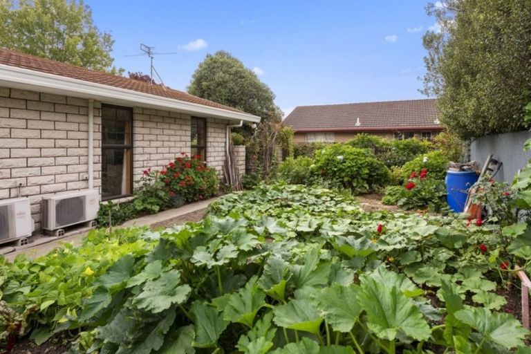 Photo of property in 12 Holcroft Court, Rangiora, 7400
