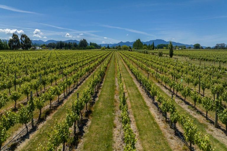 Photo of property in 83 Dry Hills Lane, Riverlands, Blenheim, 7274