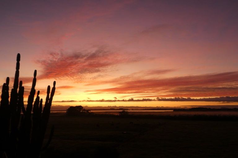 Photo of property in 93a Lancaster Road, Aongatete, Katikati, 3181