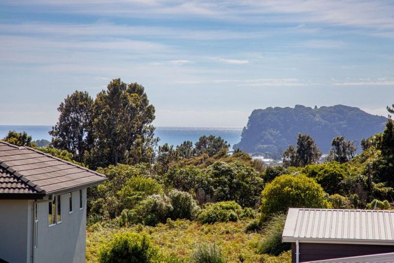 Photo of property in 103 Estuary View, Whangamata, 3620