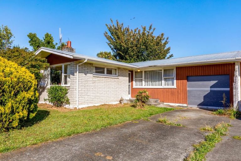 Photo of property in 46 Karaka Crescent, Levin, 5510