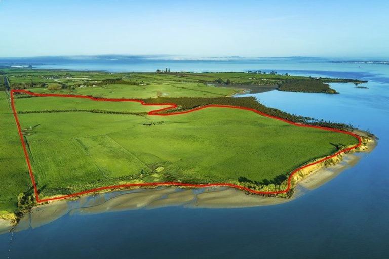 Photo of property in 102 Aulyn Drive, Karaka, Papakura, 2580