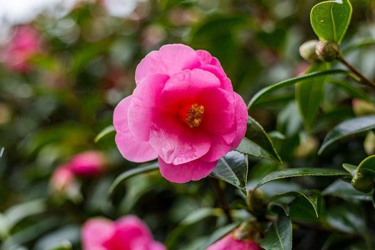 Photo of property in 59 Arawhata Road, Paraparaumu, 5032