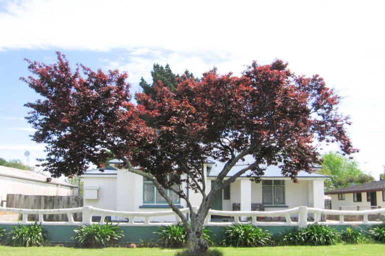 Photo of property in 12 Buchanan Street, Mangapapa, Gisborne, 4010