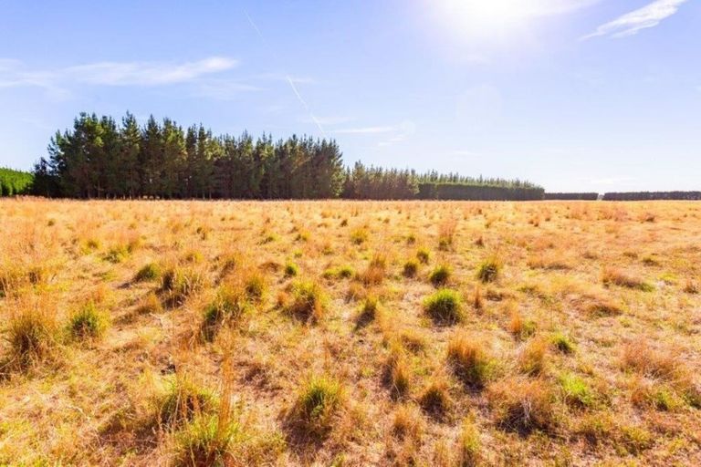 Photo of property in 143 Karanga Road, Dunsandel, Leeston, 7682