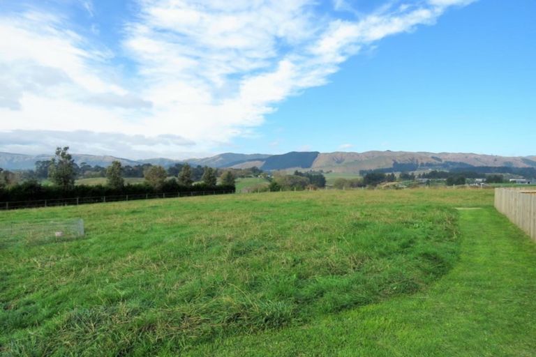 Photo of property in 91 Buckley Road, Shannon, Palmerston North, 4474