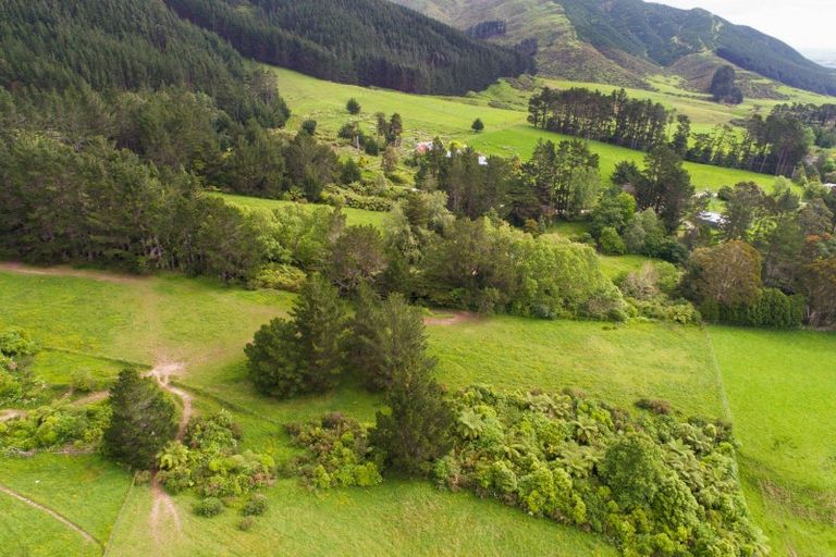 Photo of property in 431 Scotts Road, Linton, Palmerston North, 4472