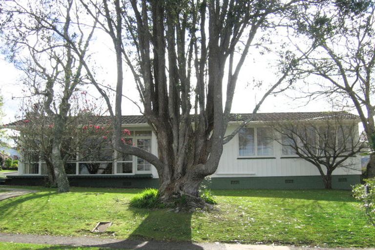 Photo of property in 16 Fisher Terrace, Te Kamo, Whangarei, 0112