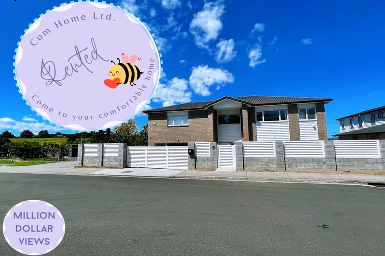 Photo of property in 6 Brickworks Bay Road, Hobsonville, Auckland, 0618