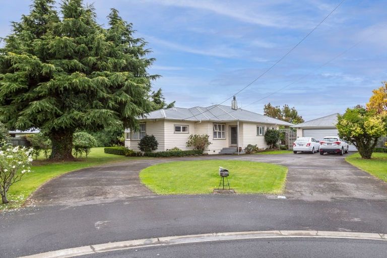 Photo of property in 12 Weka Place, Masterton, 5810
