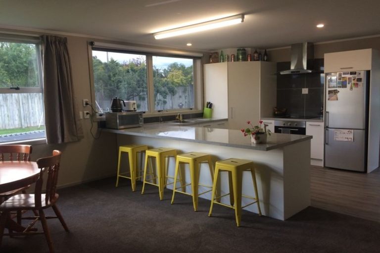 Photo of property in 56 Stuart Road, Ranfurly, 9332