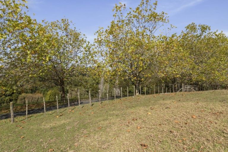 Photo of property in 115 Glenmore Road, Coatesville, Albany, 0793