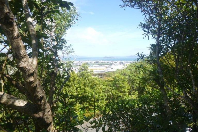 Photo of property in 6 Jacaranda Grove, Maungaraki, Lower Hutt, 5010