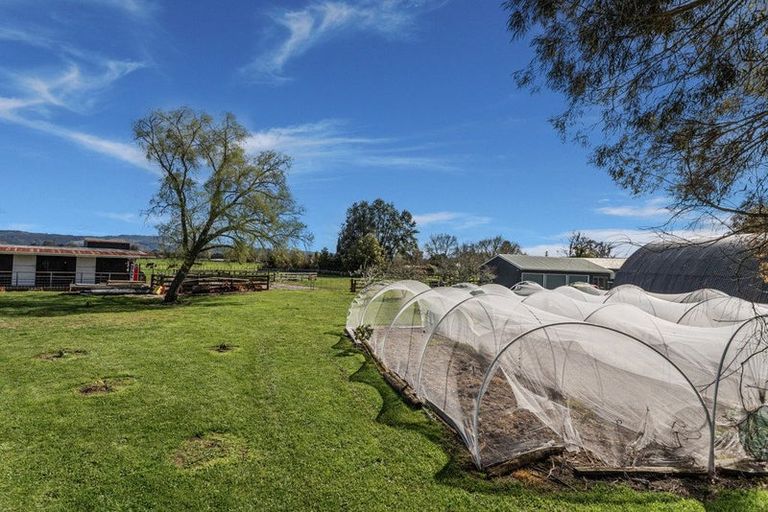 Photo of property in 36 Kawerau Road, Otakiri, Whakatane, 3192