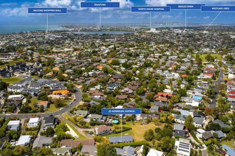 Photo of property in 25 Kenmure Avenue, Forrest Hill, Auckland, 0620