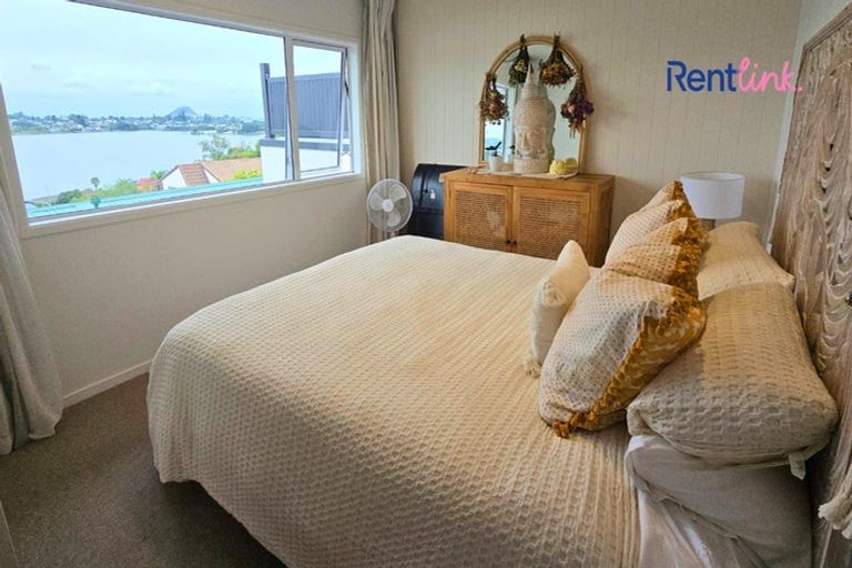 Photo of property in 67 Haukore Street, Hairini, Tauranga, 3112