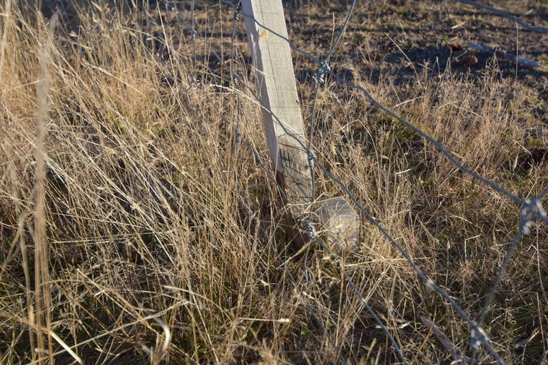 Photo of property in 52 Woodley Avenue, Twizel, 7999