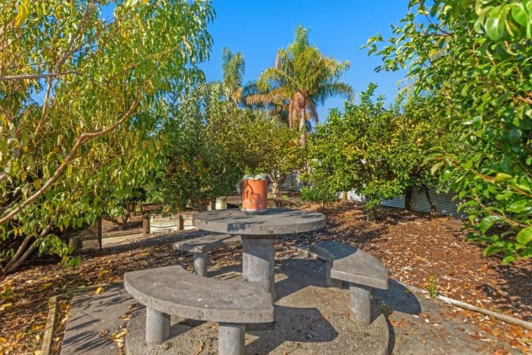 Photo of property in 39 Ayton Street, Mangapapa, Gisborne, 4010