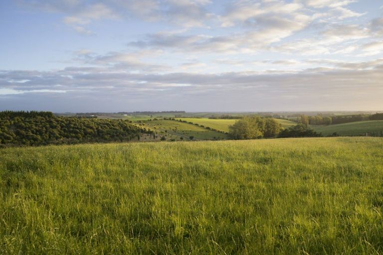 Photo of property in 234 Spur Road, Hadlow, Timaru, 7975