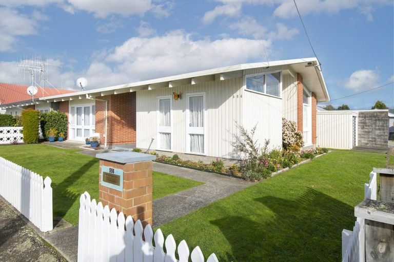 Photo of property in 556 Queen Street East, Levin, 5510